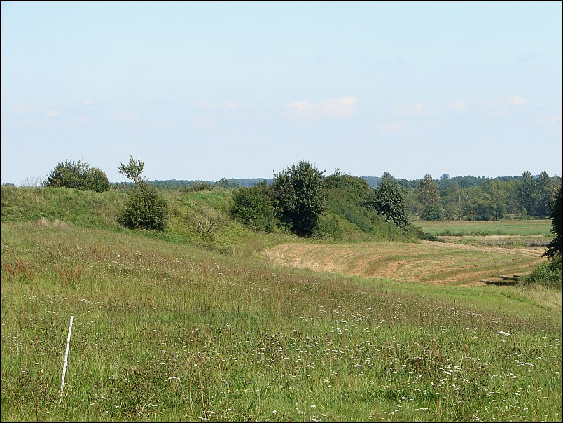 Mrozy - �och�w (92 km)