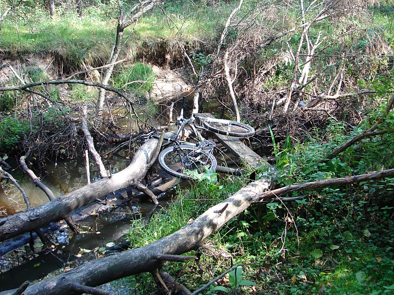 Puszcza Kamieniecka i Las Fidest (70 km)