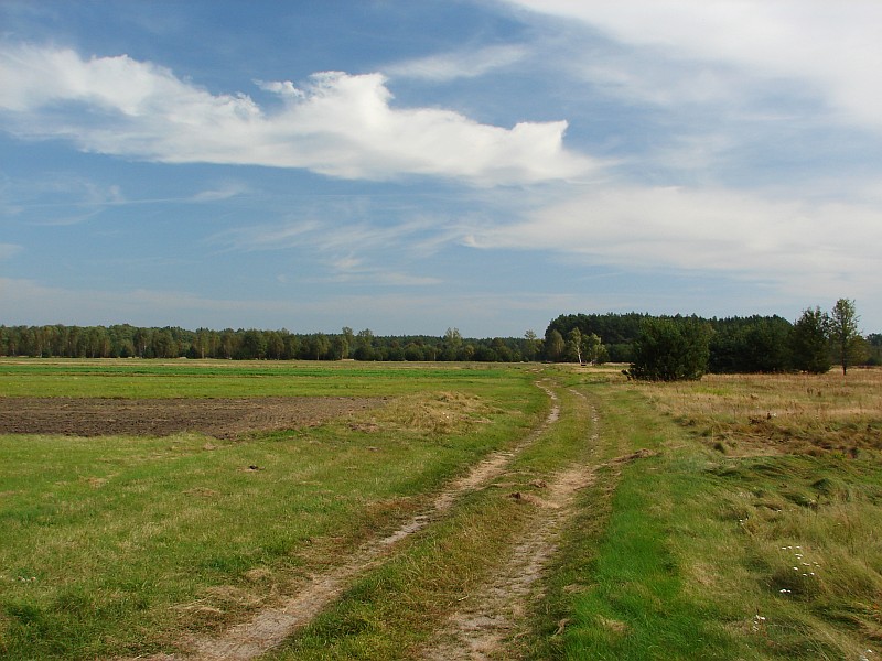 Puszcza Kamieniecka i Las Fidest (70 km)