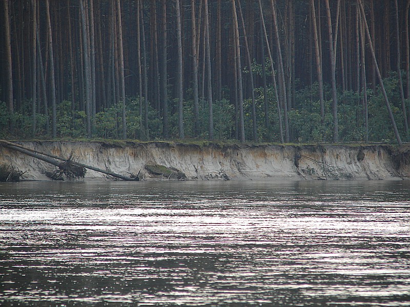 Puszcza Kamieniecka i Las Fidest (70 km)