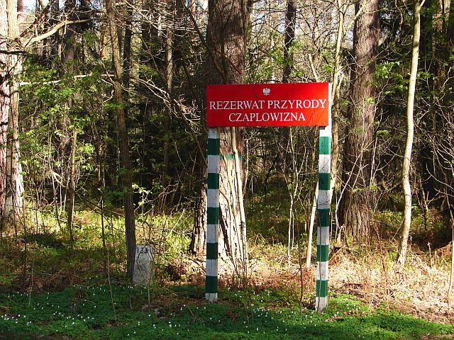 Dzi�cio�ek - Liwiec - Bug - Rz�dza (25.04.2010)