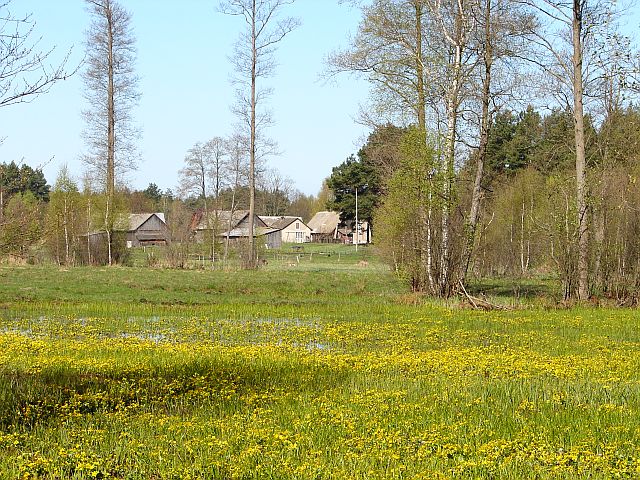 Dzi�cio�ek - Liwiec - Bug - Rz�dza (25.04.2010)