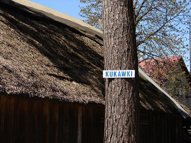 Dzi�cio�ek - Liwiec - Bug - Rz�dza (25.04.2010)