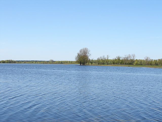 Dzi�cio�ek - Liwiec - Bug - Rz�dza (25.04.2010)