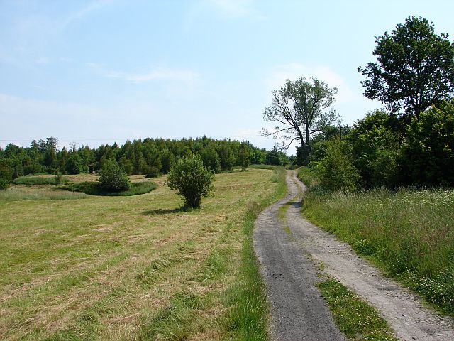Wok� jeziora Bukowo