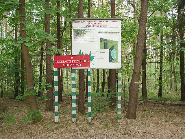 Lasy Miedzy�skie - Stara Wie� - Liw