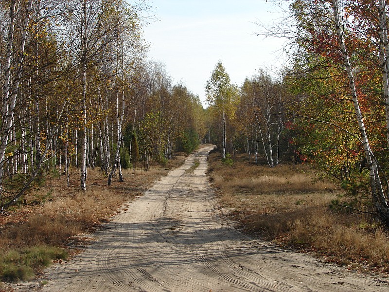 Wzd�u� Osownicy nad K�piaste Bagno (65 km)