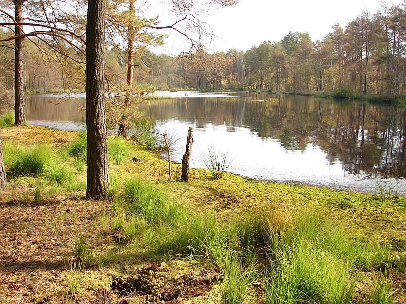 Wzd�u� Osownicy nad K�piaste Bagno (65 km)